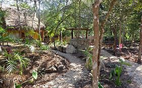 Casa Mango