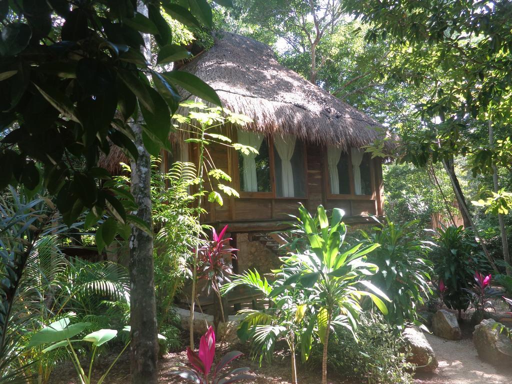 Casa Mango Bed & Breakfast Tulum Room photo