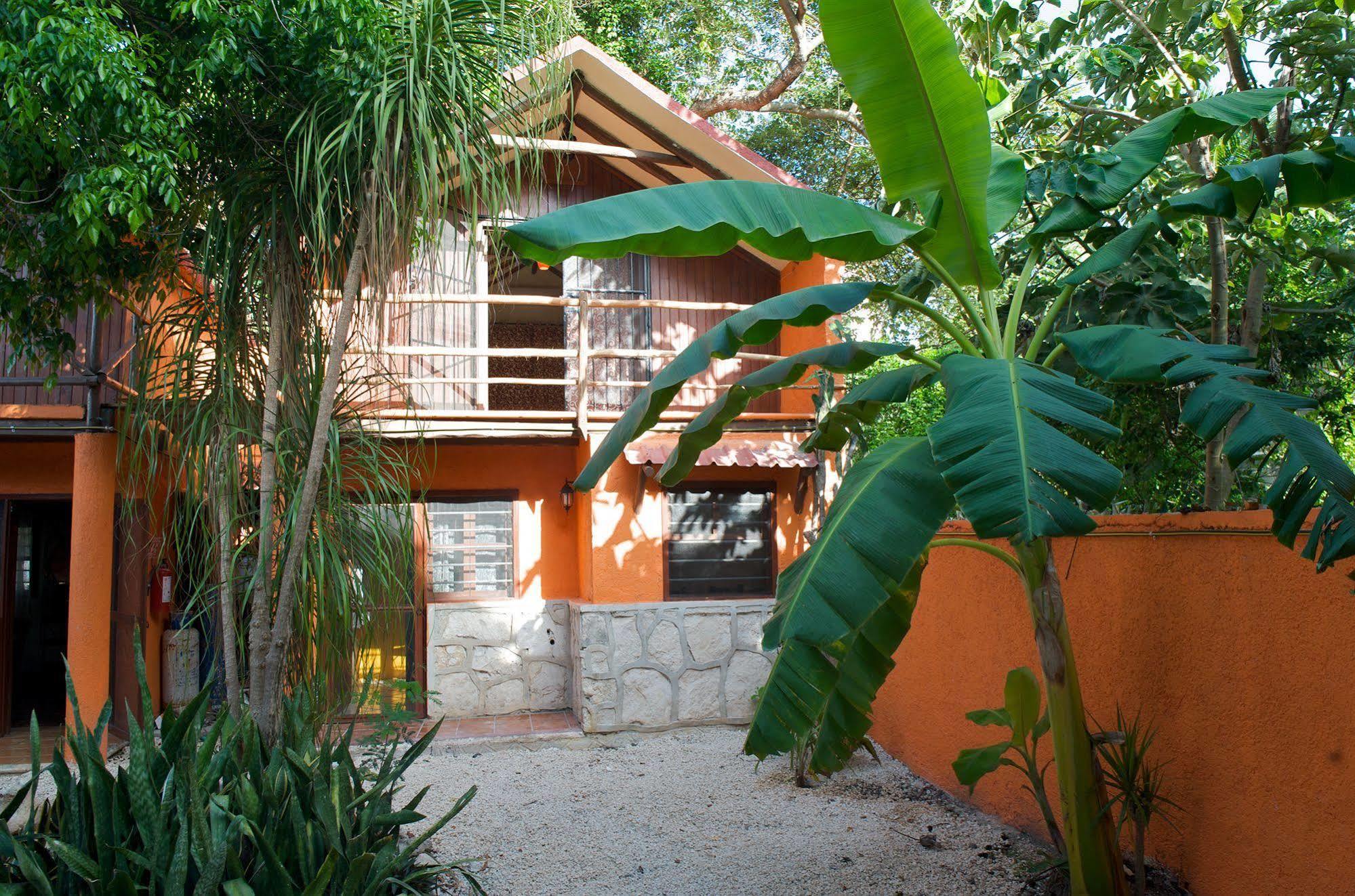 Casa Mango Bed & Breakfast Tulum Exterior photo